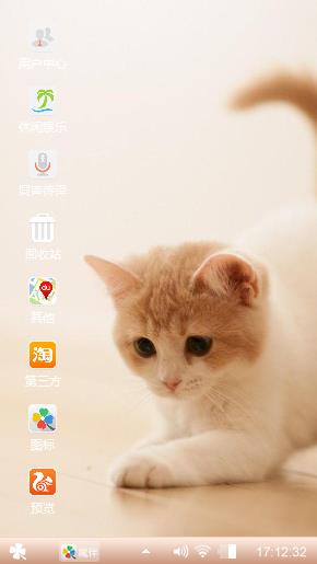 呆萌猫咪