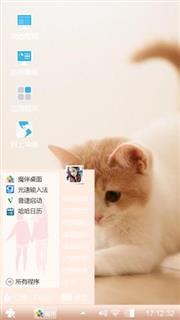 呆萌猫咪