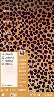 豹纹