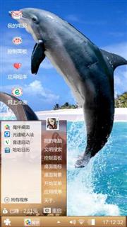 海豚