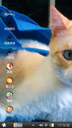 可爱猫咪