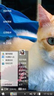 可爱猫咪