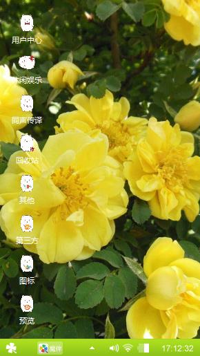 黄蔷薇
