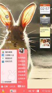 可爱的小兔子