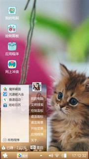 猫猫