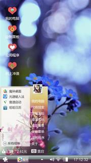 星辰花
