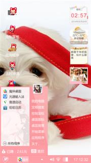 笨笨的狗狗