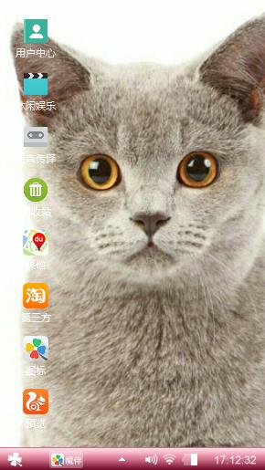 猫咪