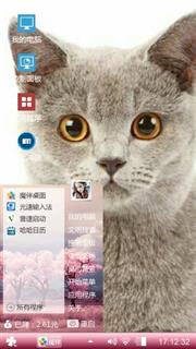 猫咪