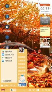枫树