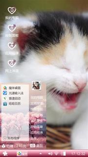 调皮猫咪
