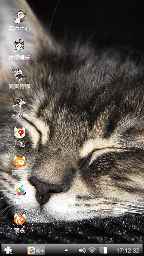 猫咪