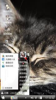 猫咪
