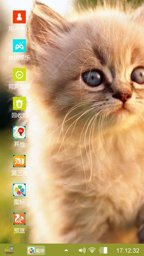 发呆的小猫