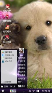 猫猫and dog
