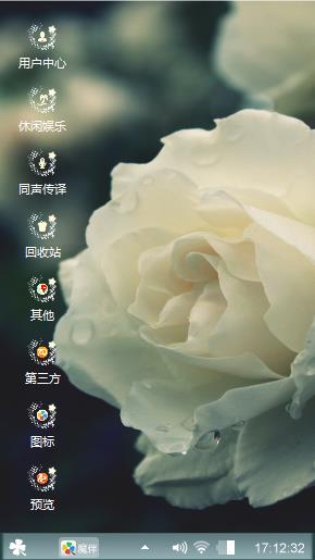 白玫瑰