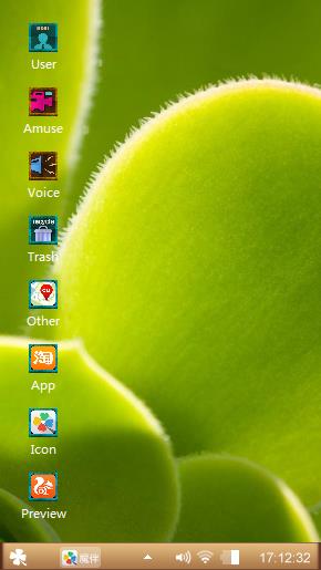 succulent plant