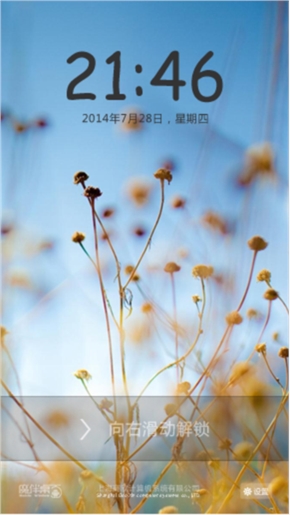 野菊花
