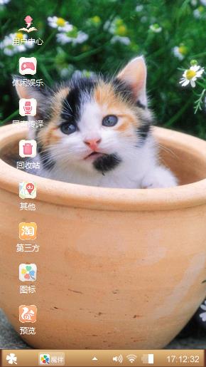 小花猫