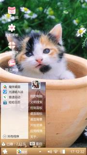 小花猫