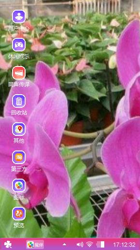 蝴蝶兰