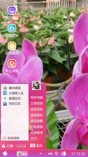 蝴蝶兰