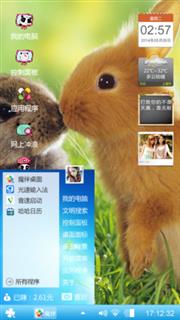 迷你兔