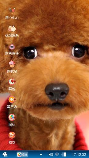 泰迪