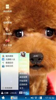 泰迪
