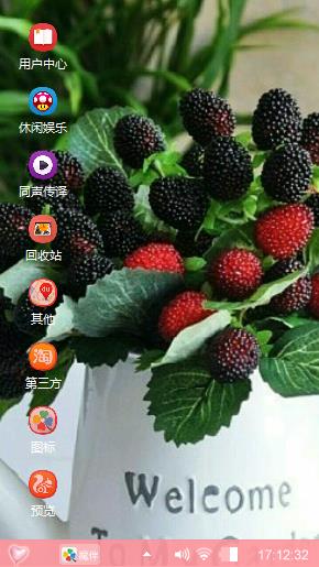 桑葚