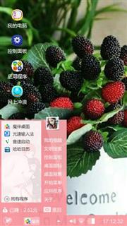 桑葚