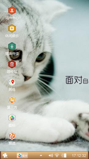 可爱的猫咪