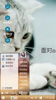 可爱的猫咪
