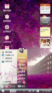紫树