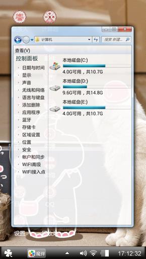 可爱猫咪
