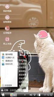 可爱猫咪