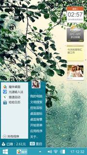 辉豹迷