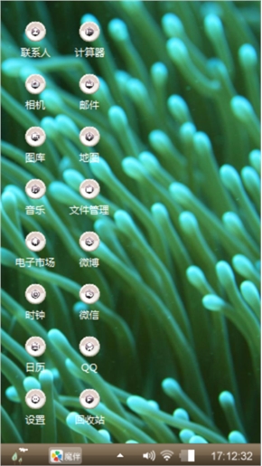 小丑鱼