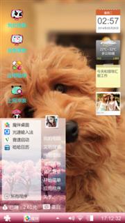 狗狗