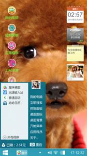 小泰迪