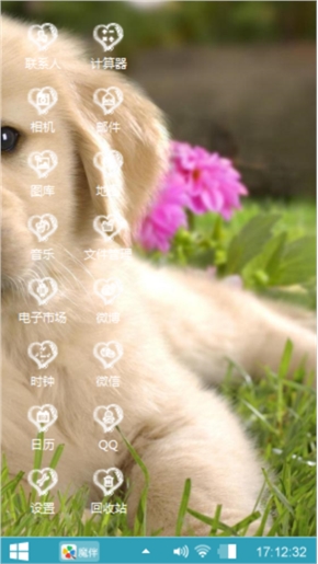 小猫小狗
