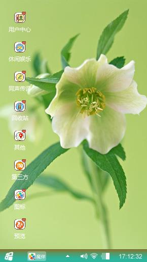 百合花