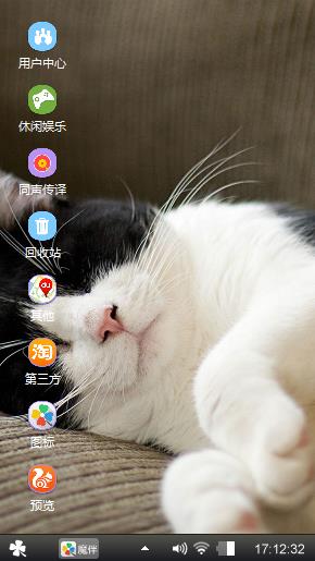 猫咪