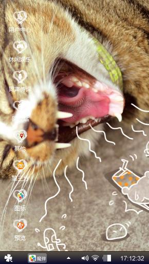 猫咪