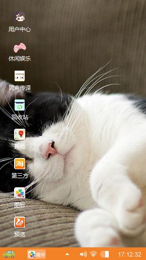 熟睡的猫咪
