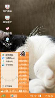 熟睡的猫咪