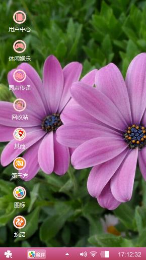 波斯菊