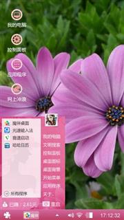 波斯菊