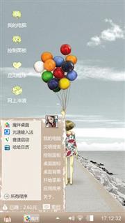 放飞