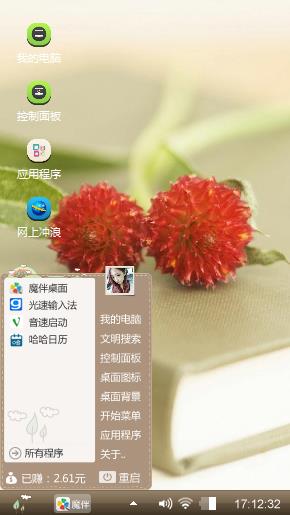 红毛丹
